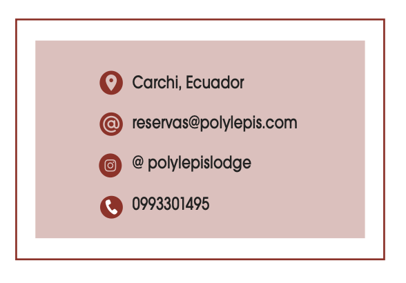 Polylepis Lodge - Especial Turismo Ecuador 2024 Revista CLAVE!